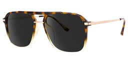 Sydnor Geometric Tortoise Sunglasses1