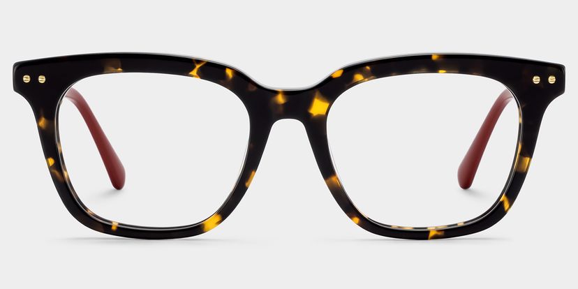 Angela Tortoise Square Glasses