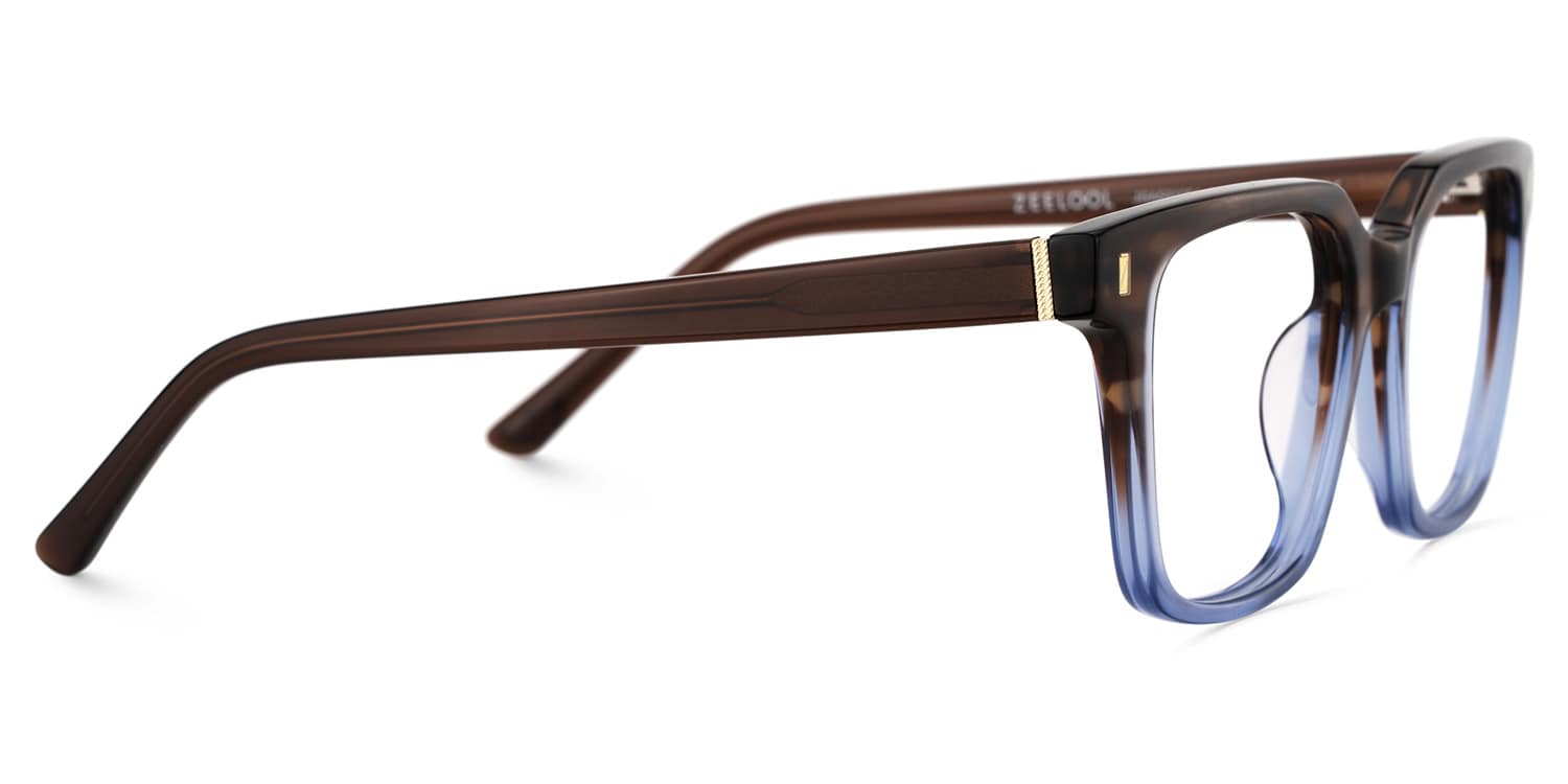 Pagel Brown Gradient Blue Thin Frame Eyeglasses | Zeelool4
