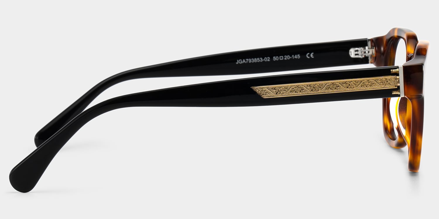 Hope Tortoise Frame Glasses with Round Frame Online | ZEELOOL