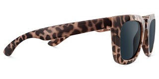 Clea Rectangle Tortoise Sunglasses3