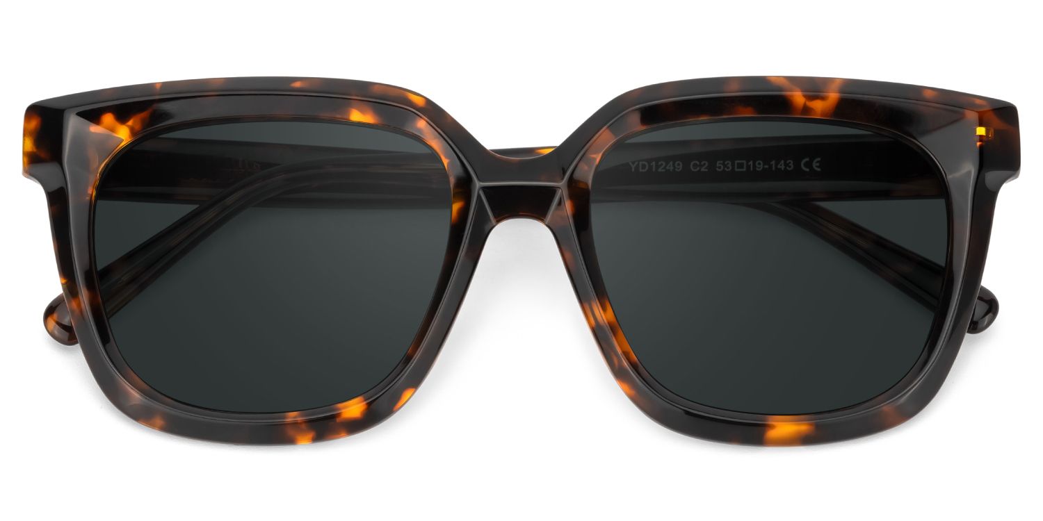 Lark Square Tortoise Polarized Sunglasses1