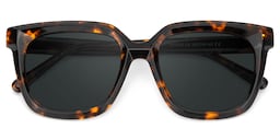 Lark Square Tortoise Polarized Sunglasses1