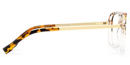 Kilworth Aviator Tortoise clear Glassess5