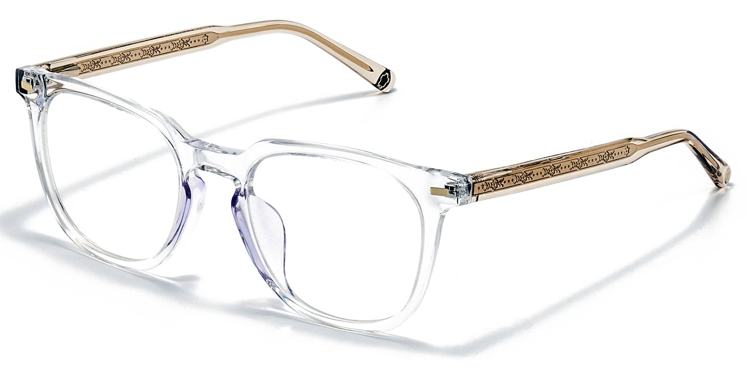 Men's Crystal Eyeglasses Frames1