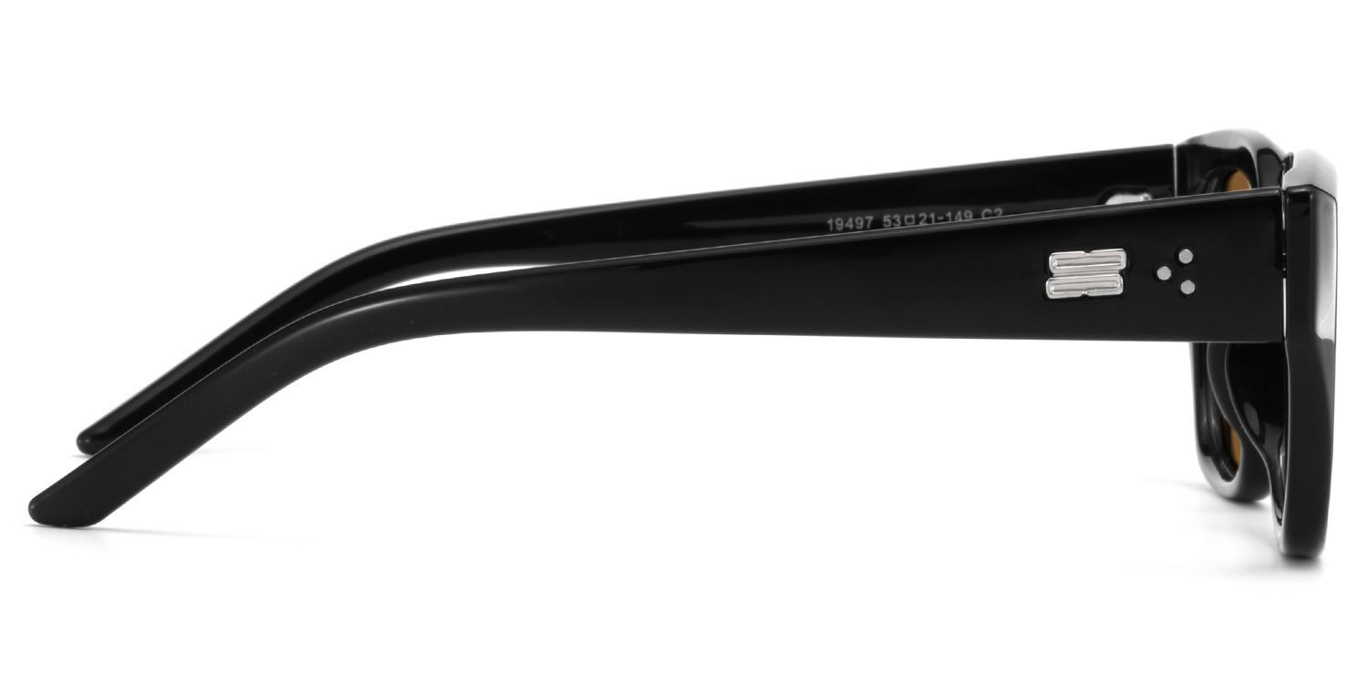 Serene Black Clear Cat eye Polarized Sunglasses Online | Zeelool4