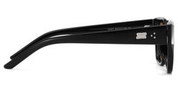 Serene Cat Eye Black Clear Polarized Sunglasses4