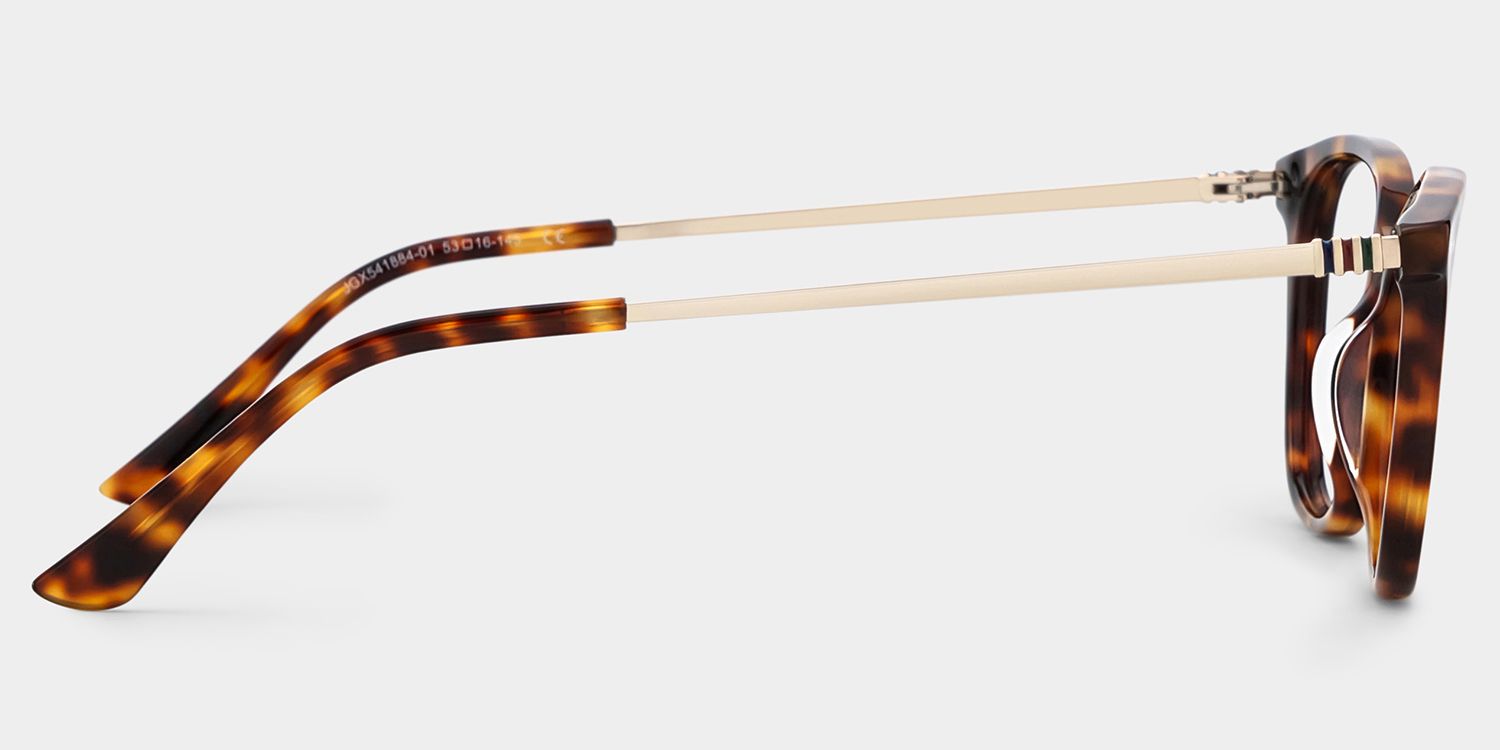 バードウィーク Finch Tortoise Rectangle Glasses | Retro Varsity Minimal