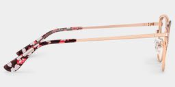 Mariana Rectangle Brown Glasses4