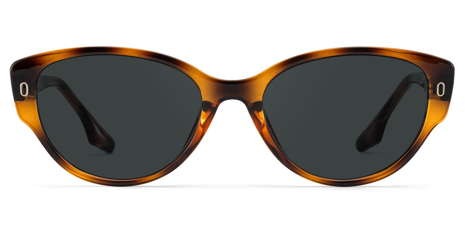 Livia Tortoise Frame Polarized Sunglasses with cat-eye Style  display picture 3