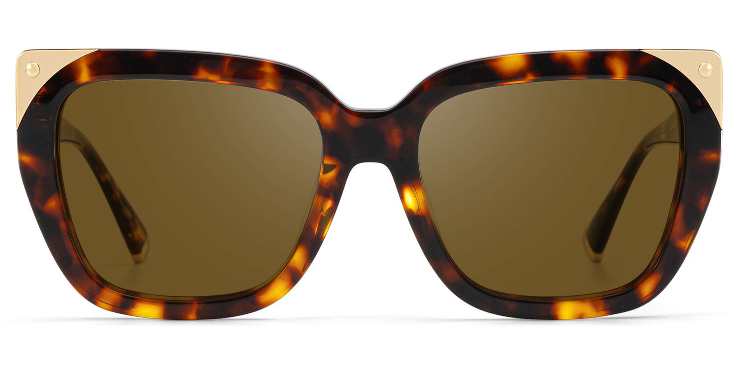 Sophia Tortoise Butterfly Sunglasses | ZEELOOL x Prabal Gurung