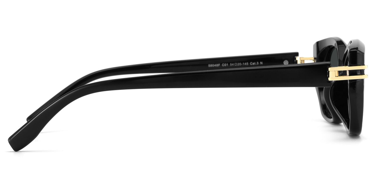 Lagoona Black Cat Eye Sunglasses Online | Zeelool3