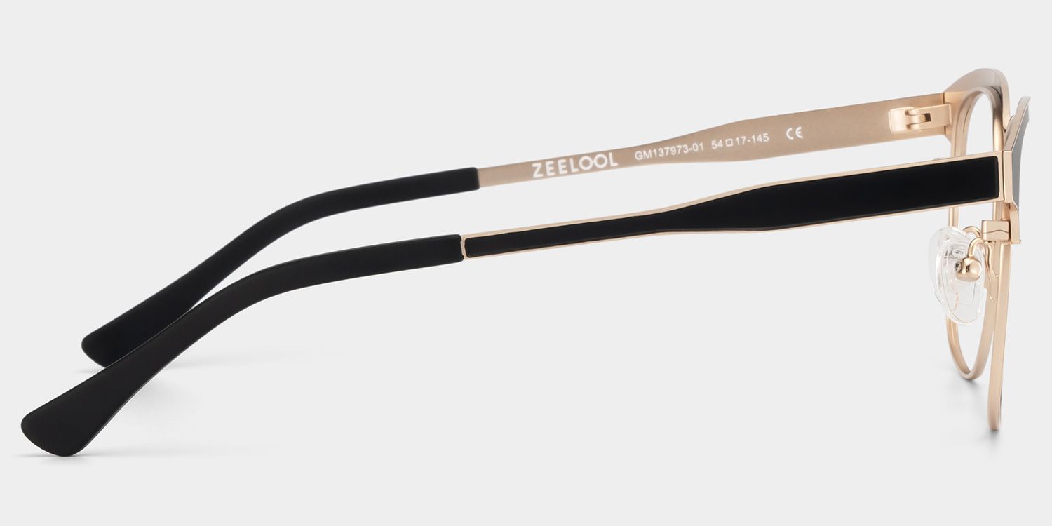 Wren Browline Black-Gold Eyeglasses & Glasses Frames5