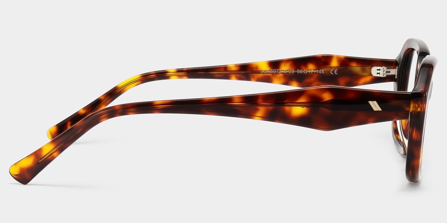 Rowan Brown Tortoise Rectangle Glasses for Women | ZEELOOL5