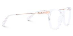 Cardoso Clear Butterfly Glasses4