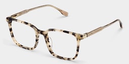 Zoe Square Tortoise Glasses7