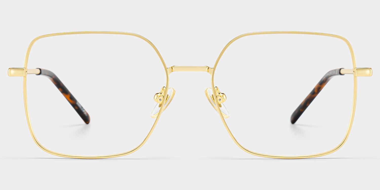 Abigail Tortoise Shell Glasses with Gold Arms for Women in Daily | ZEELOOL1