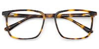 Aidan Rectangle Tortoise Glasses2