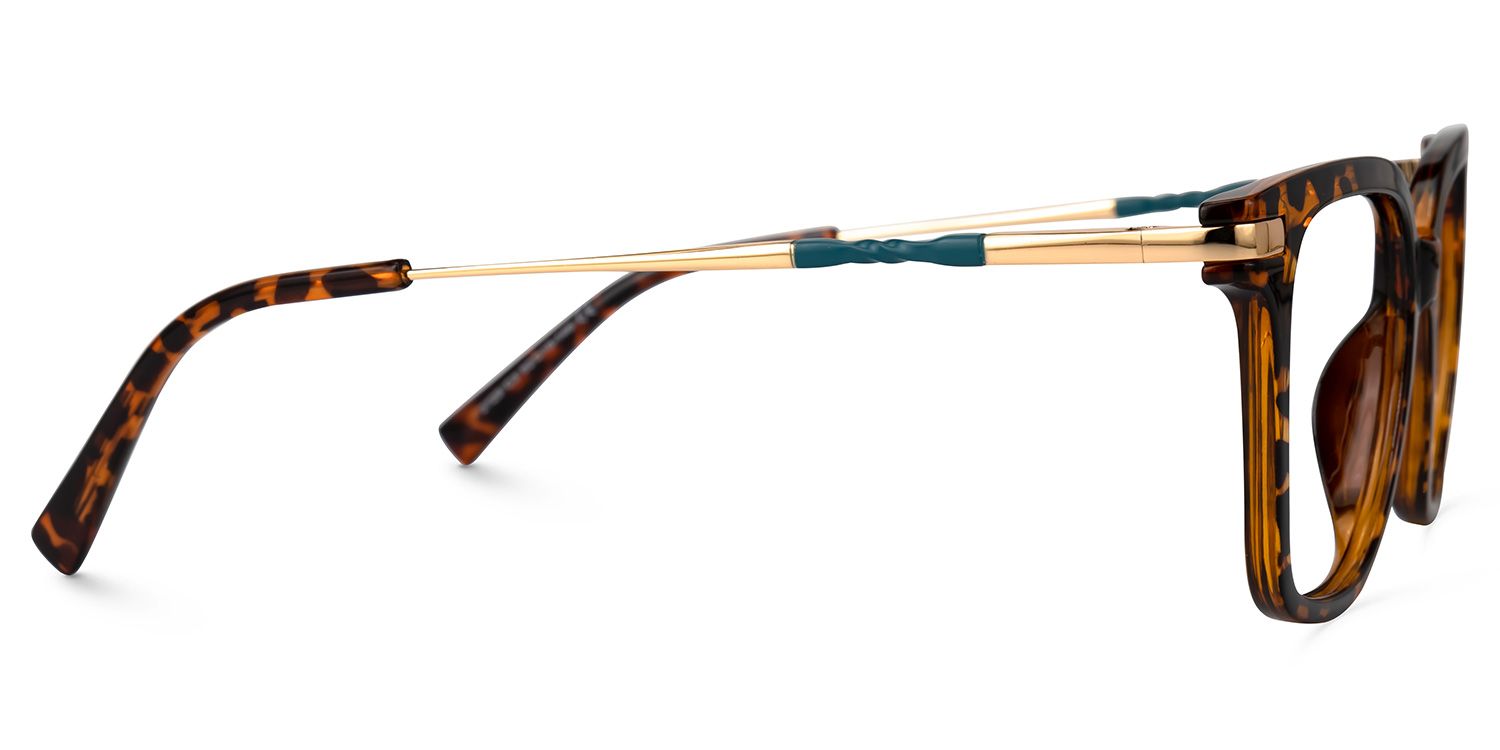 Jacqui Square Tortoise Glasses2