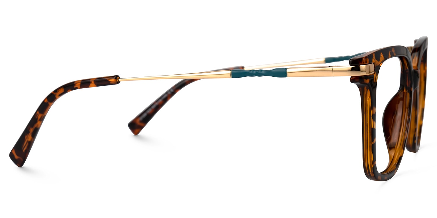 Jacqui Square Tortoise Glasses2