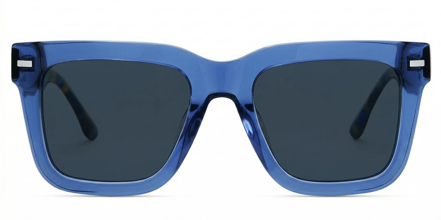 Redina Acetate Blue Frame Sunglasses | ZEELOOL0