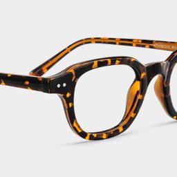 Amber Tortoise Square Glasses5