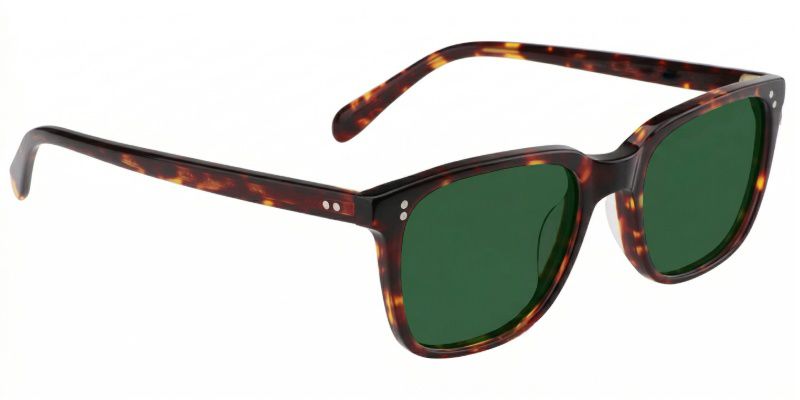 Lamont Rectangle Tortoise Frame Glasses | Zeelool3