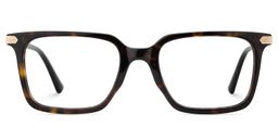 Goveo Rectangle Tortoise Glasses1