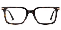 Goveo Rectangle Tortoise Glasses1