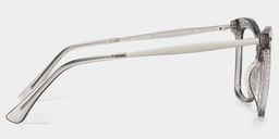 Isaebella Butterfly Gray Glasses5