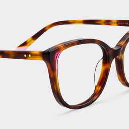 Brady Tortoise Butterfly Glasses4