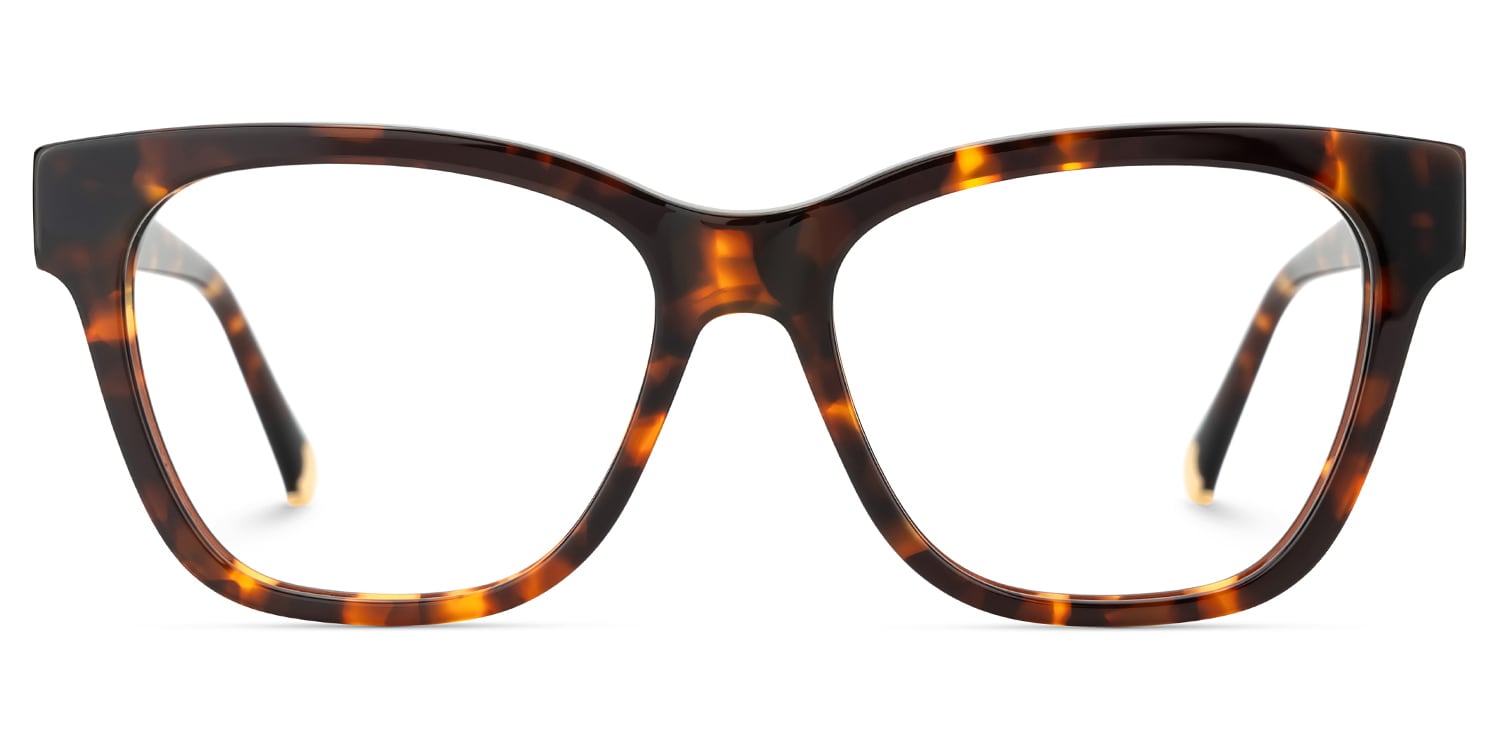 Julian Square Tortoise Glasses