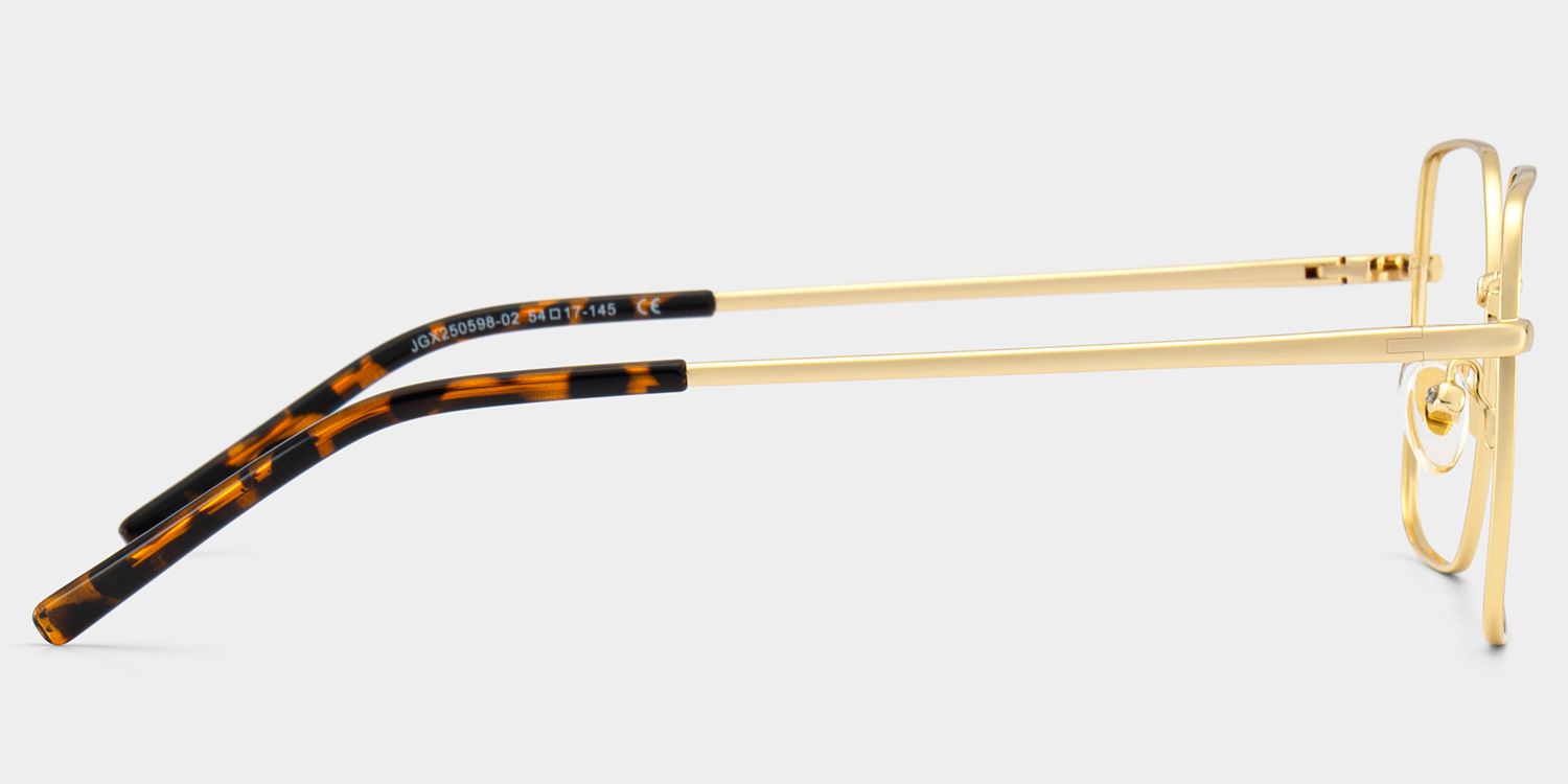 Abigail Tortoise Shell Glasses with Gold Arms for Women in Daily