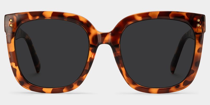 Ebony Square Tortoise Sunglasses