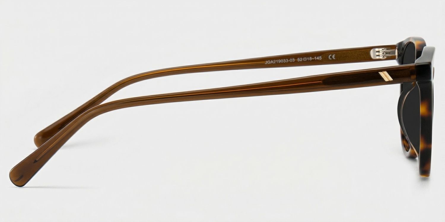 Allison Auburn Eyeglasses -Tortoise Round Frames | ZEELOOL3