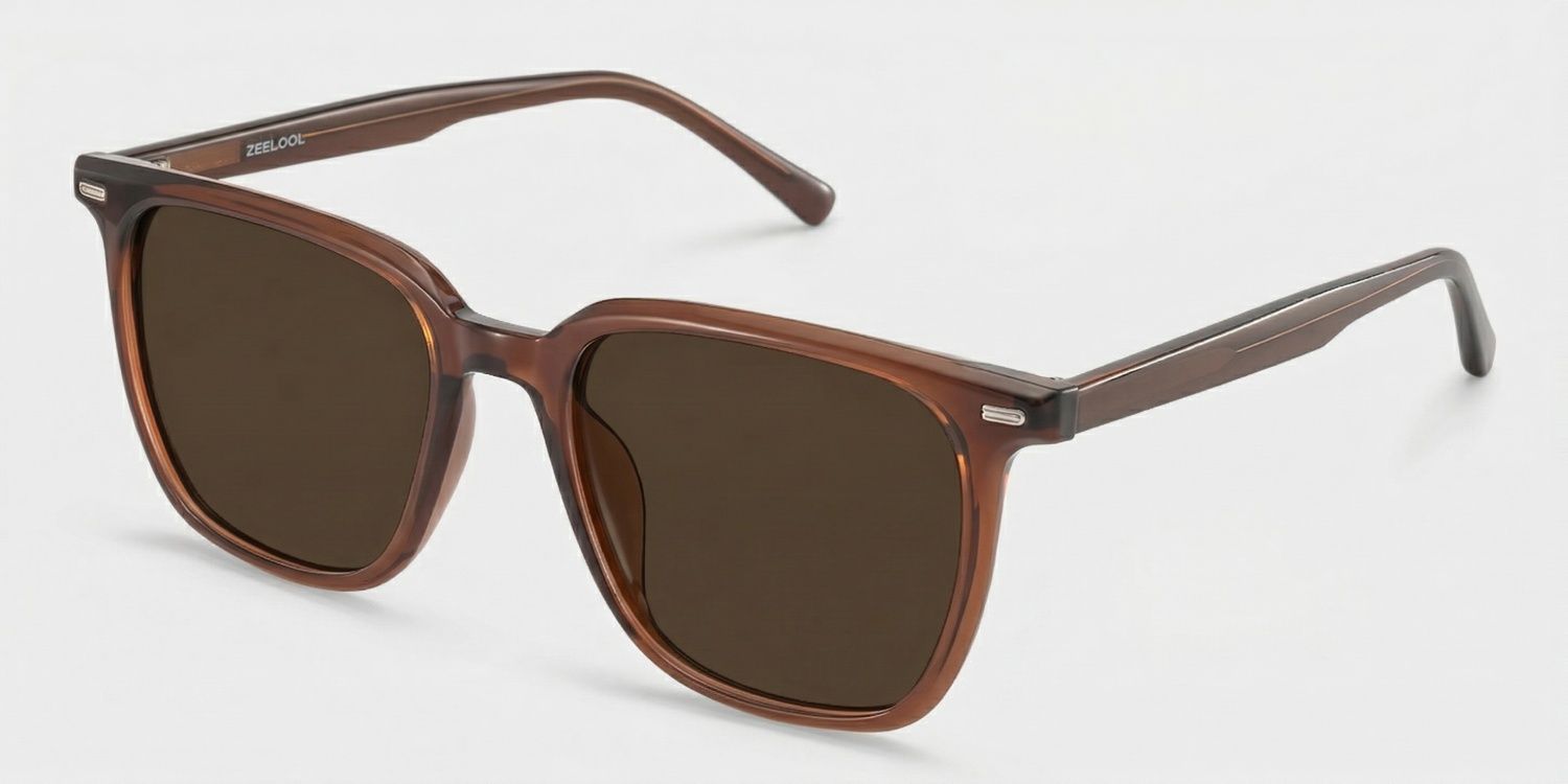 Eliza Dark Brown Glasses Frames for Women | ZEELOOL2