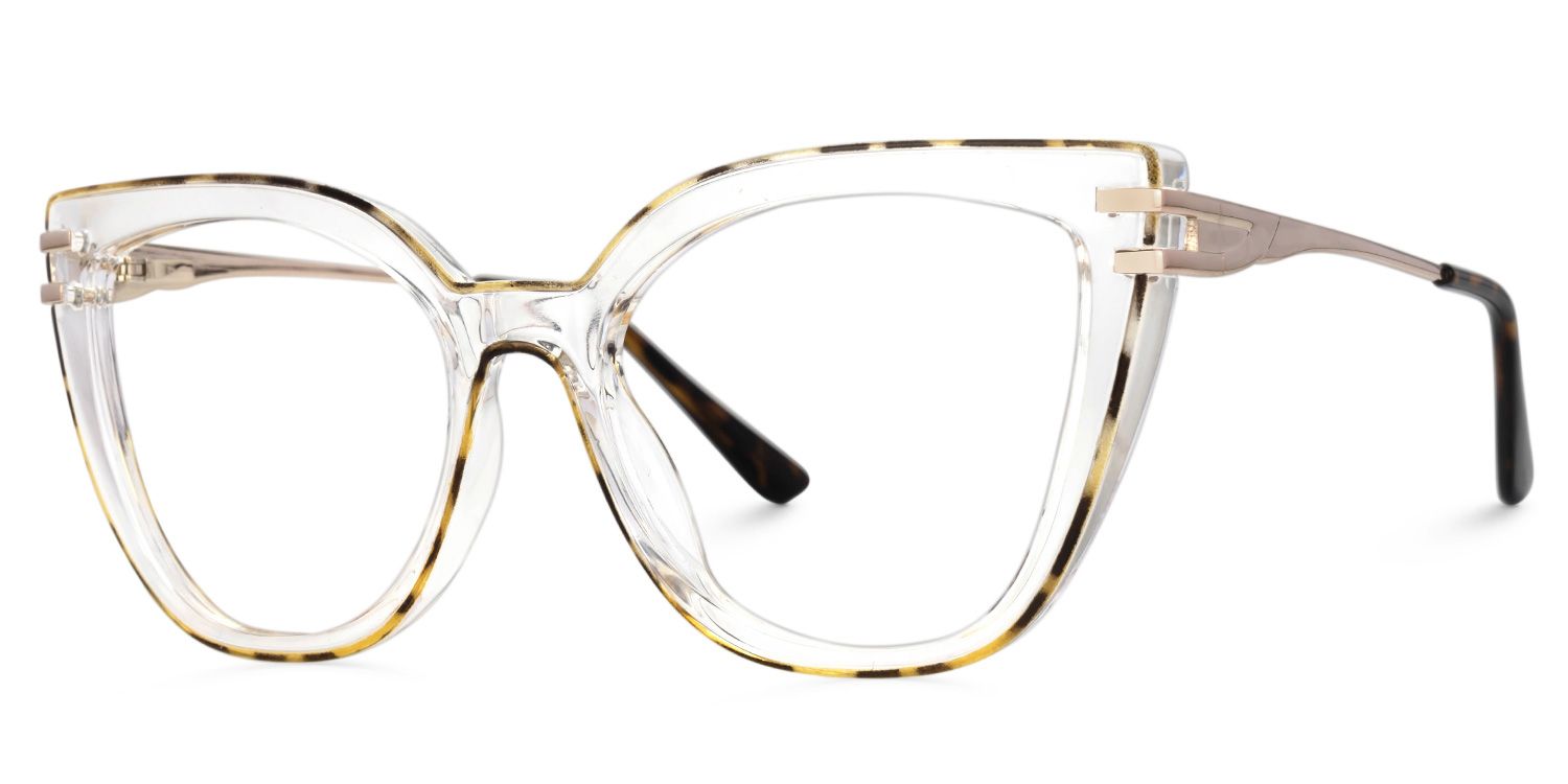 Fillery Clear Frame Glasses with Tortoiseshell Sides1