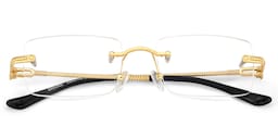 Peavy Rectangle Gold Glasses2