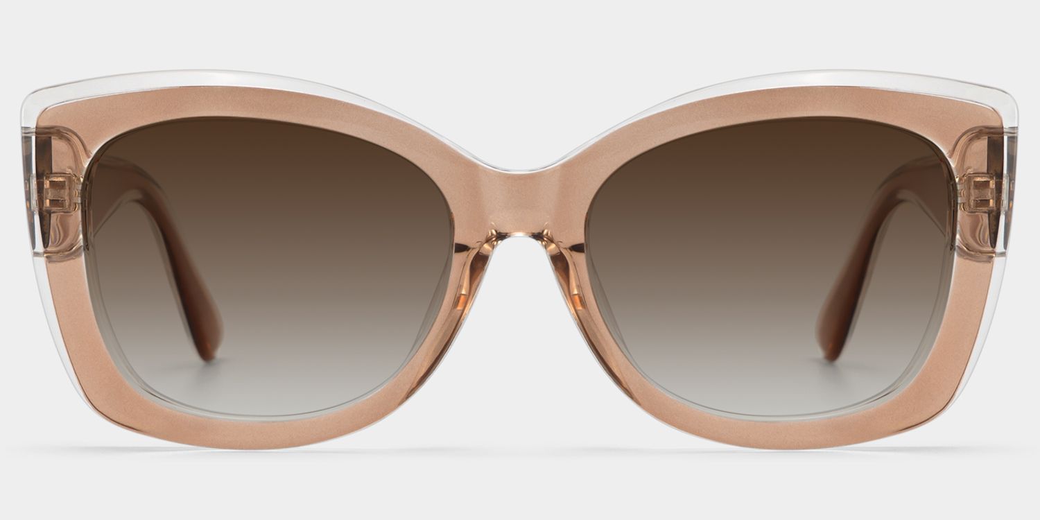Rosie Thick Brown and Clear Butterfly Frames Sunglasses | ZEELOOL0