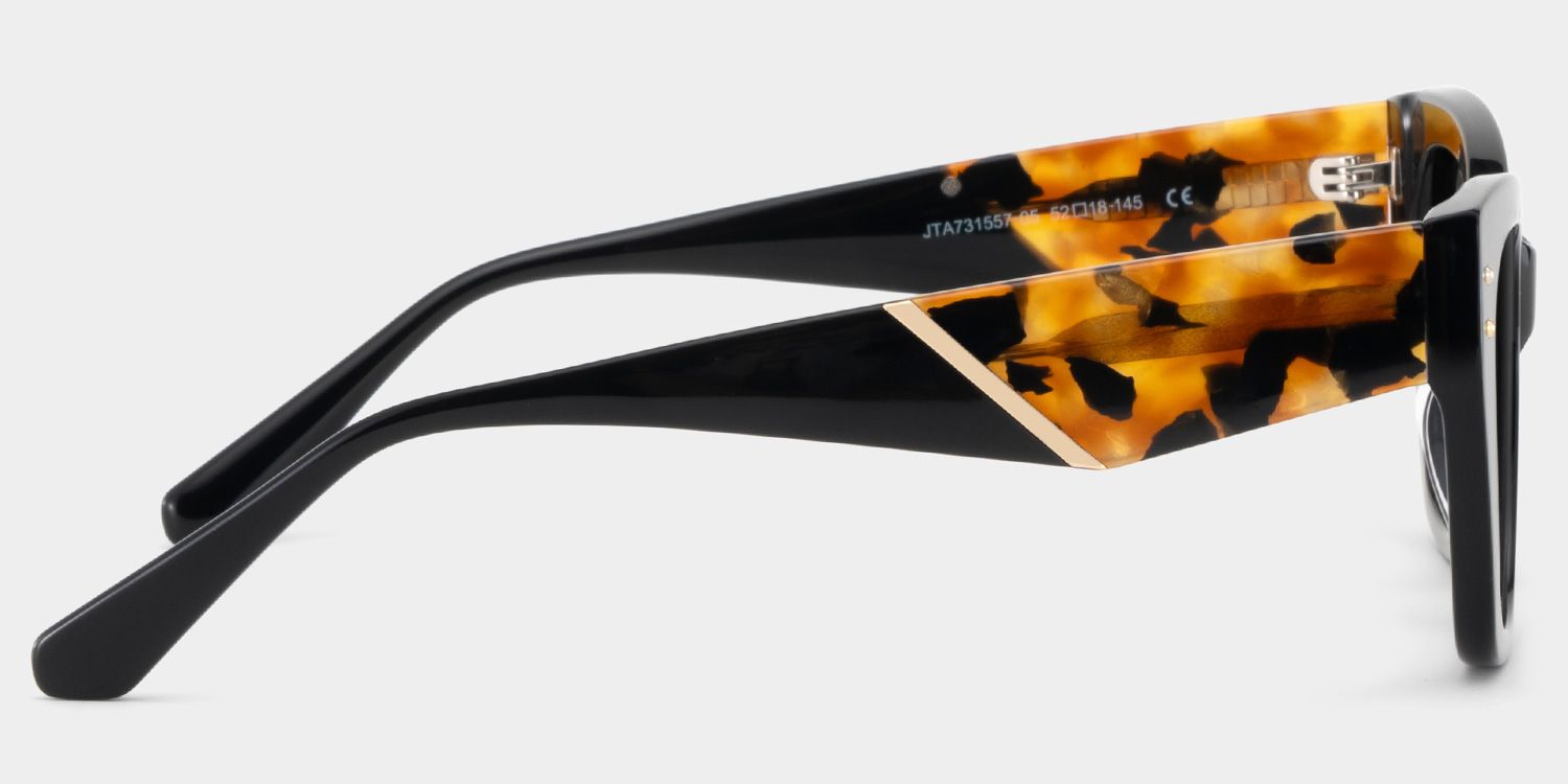 Skylar Acetate Black Frame Sunglasses | ZEELOOL4