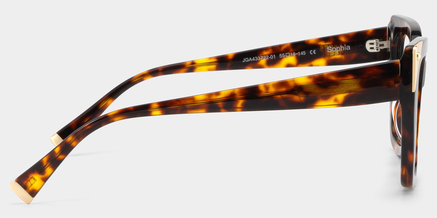 Sophia Tortoise Butterfly Acetate Glasses | ZEELOOL x Prabal Gurung