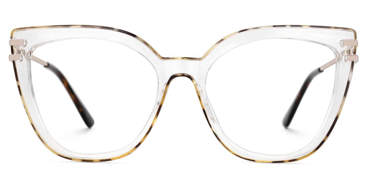 Fillery Clear Frame Glasses with Tortoiseshell Sides0