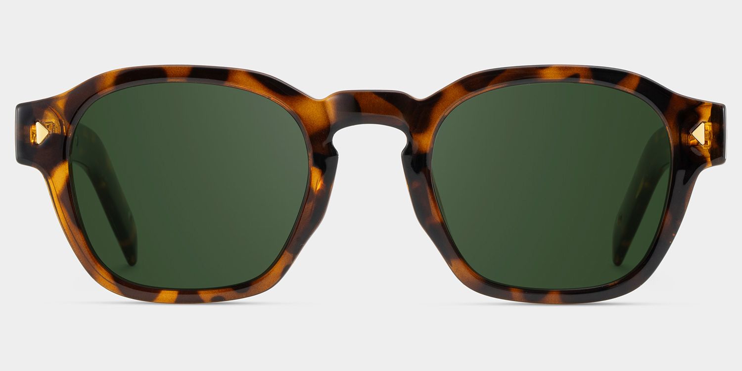 Leilani tortoise Frame Polarized Sunglasses with rectangle Style Online | ZEELOOL1