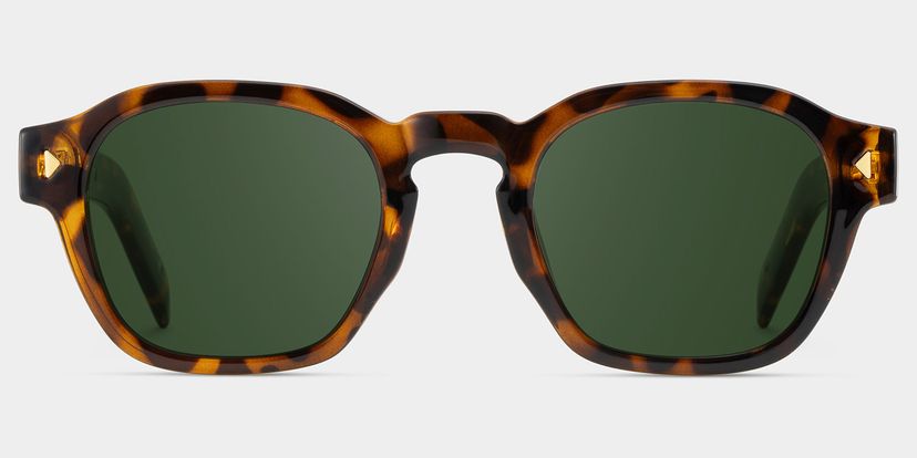 Leilani Rectangle Tortoise Polarized Sunglasses