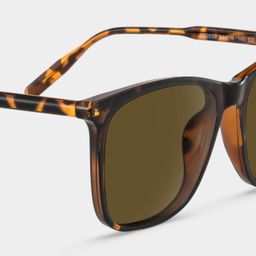 Malika Square Tortoise Polarized Sunglasses5