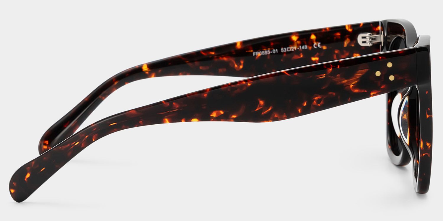 Gordon Acetate Tortoise Frame Sunglasses | ZEELOOL