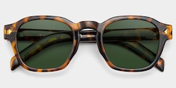 Leilani Rectangle Tortoise Polarized Sunglasses2