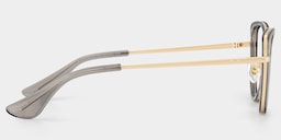 Celine  Cat-eye Gray Glasses5