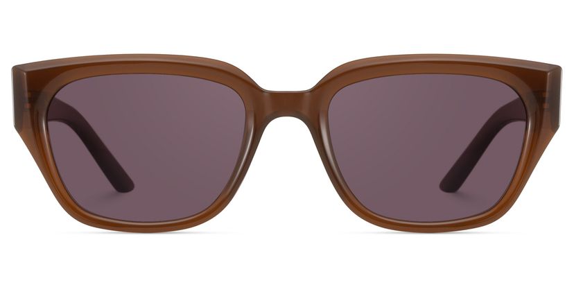 Serene Cat Eye Brown Clear Polarized Sunglasses