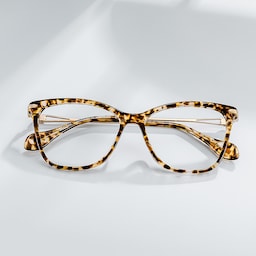 Westley Butterfly Tortoise Glasses0